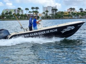 Boat fishing in the lagoon of guadeloupe