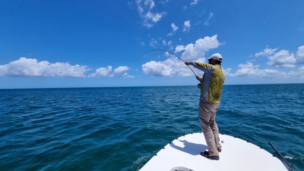 pêche permit mouche guadeloupe